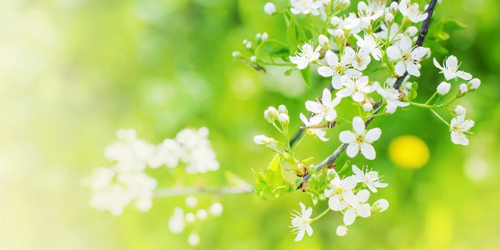 1500x1000 Print a Wallpaper