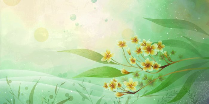 1920x1200 Green Flower Background (46+ images)