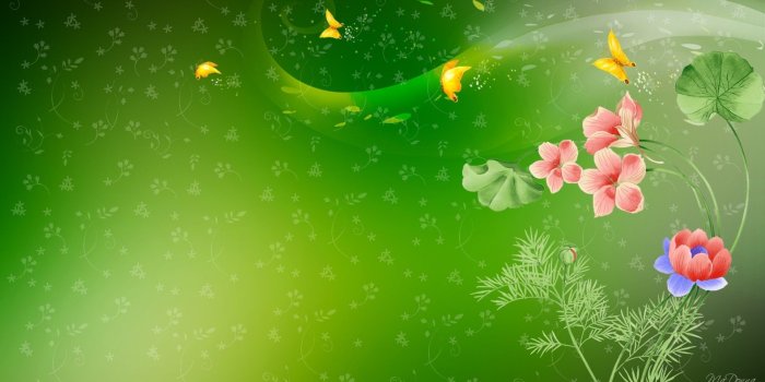 1920x1080 68+ Green Butterfly Wallpapers on WallpaperPlay