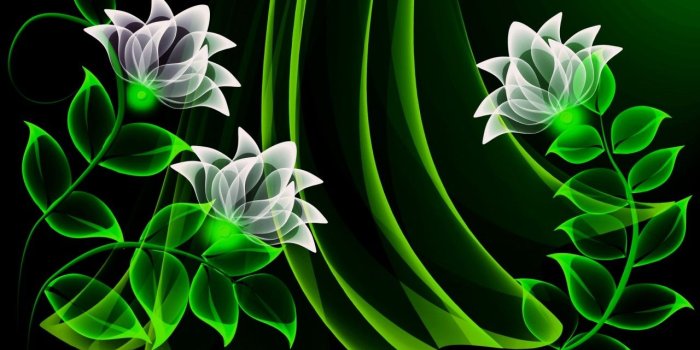 1280x800 White Flowers & Green Leaves wallpapers | White Flowers & Green