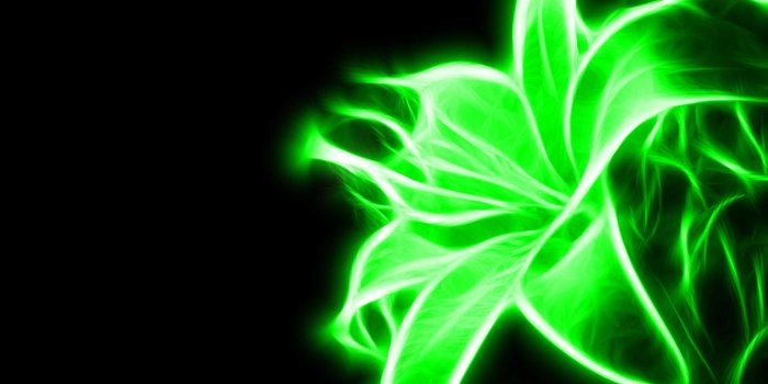 1680x1050 Neon Green Flower - Green Wallpaper (20988898) - Fanpop