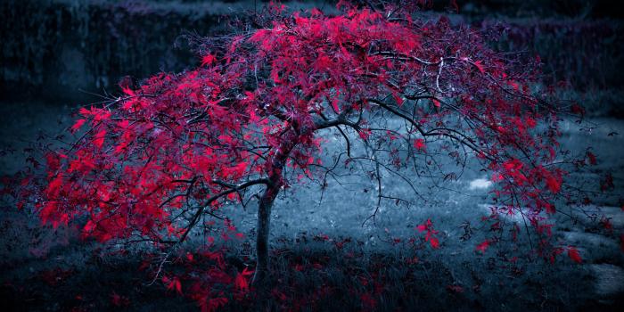 3840x2160 69+ Windows Nature Wallpapers on WallpaperPlay