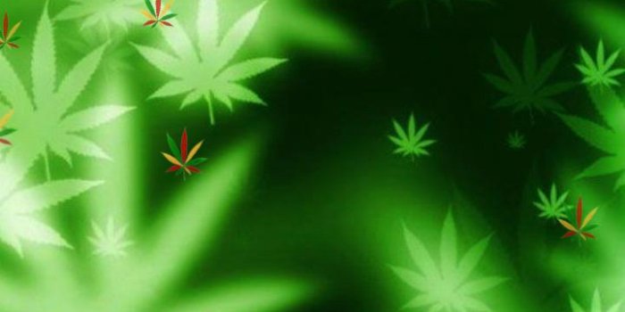 720x1280 Weed HD Live Wallpaper for Android - APK Download