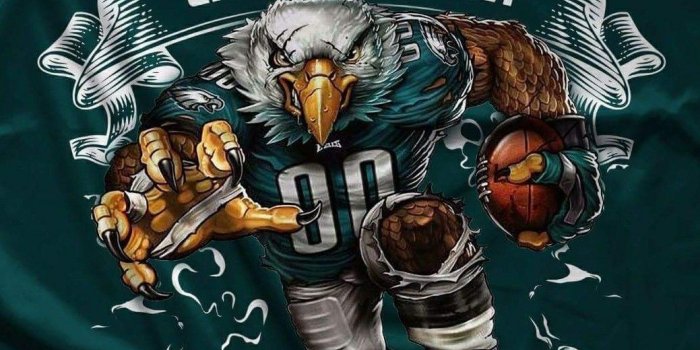 1039x1521 Eagles Shared by Career Path Design. | Sports | Philadelphia eagles