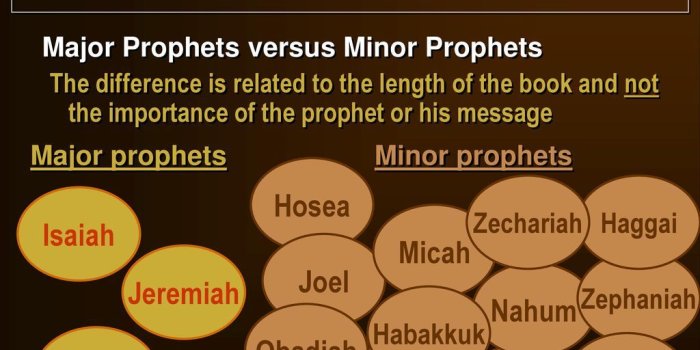 1024x768 Sacred Scripture: A Catholic Study of God's Word Part 1E The