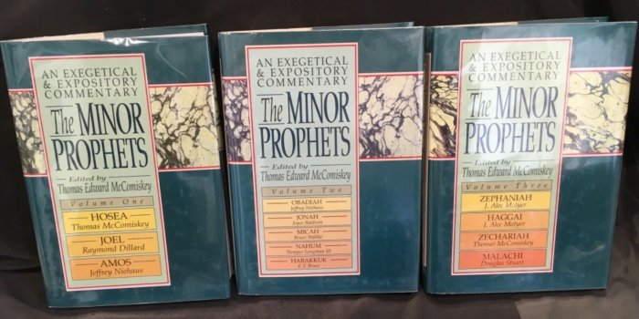 1600x1200 Minor Prophets: The Minor Prophets : An Exegetical and Expository  Commentary (Zephaniah-Malachi) Vol. 3 (1998, Hardcover)