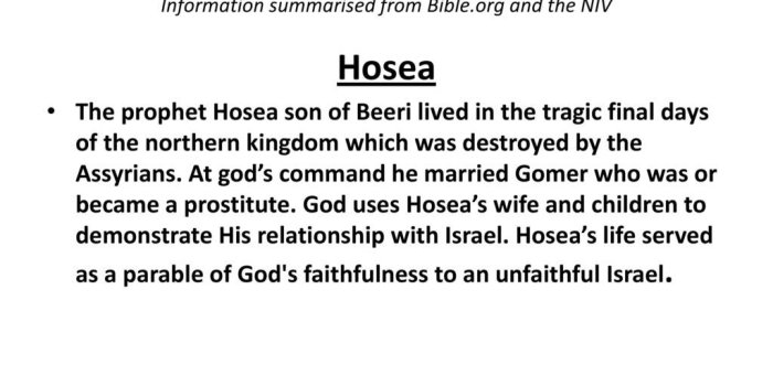1024x768 Bible Summary-The Minor Prophets Information summarised from Bible
