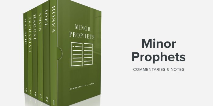 1600x900 Bible Book Commentaries - Minor Prophets, Vol. 1 - Sermonary