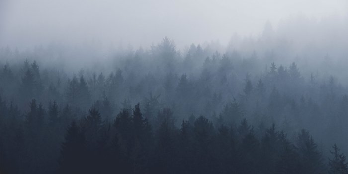 2560x1440 God, the Minor Prophets and You – Light Bearers