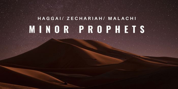 1920x1080 Minor Prophets