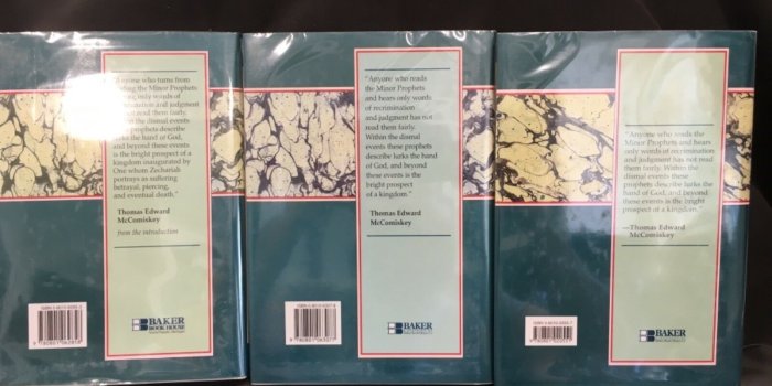 1600x1200 Minor Prophets: The Minor Prophets : An Exegetical and Expository  Commentary (Zephaniah-Malachi) Vol. 3 (1998, Hardcover)