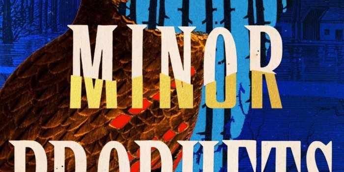 1012x1600 MINOR PROPHETS is a New YA Mystery Novel from Jimmy Cajoleas