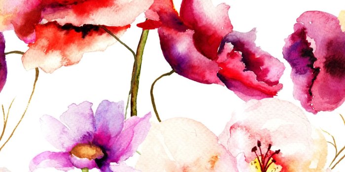 1920x1080 68+ Watercolor Flowers Wallpapers on WallpaperPlay