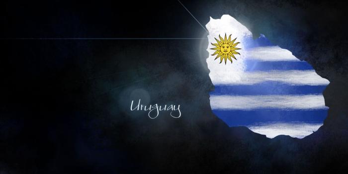 1440x900 Uruguay Football Wallpaper