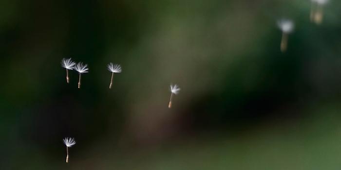 1920x1200 Featured Wallpapers - Windows Help