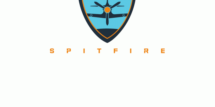 1125x2436 Overwatch League London Spitfire Phone Wallpapers - Album on Imgur