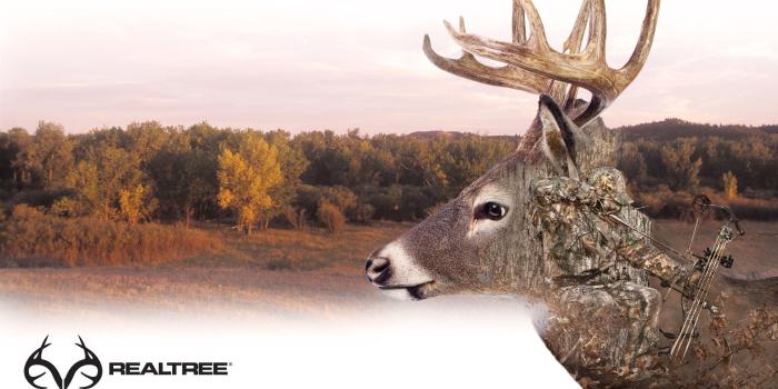 2560x1440 63+ Bow Hunting Wallpapers on WallpaperPlay