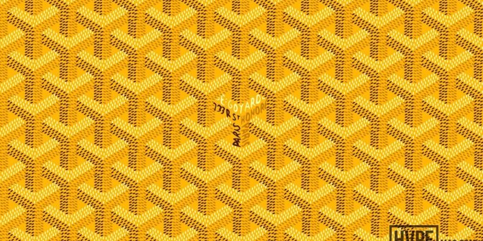 1920x1200 Goyard Wallpapers (48+ images)