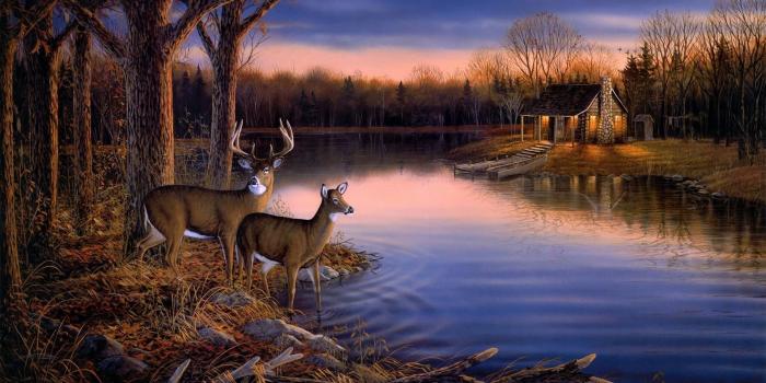 1920x1080 Deer Hunting Wallpaper Border | ,landscape wallpaper Picture