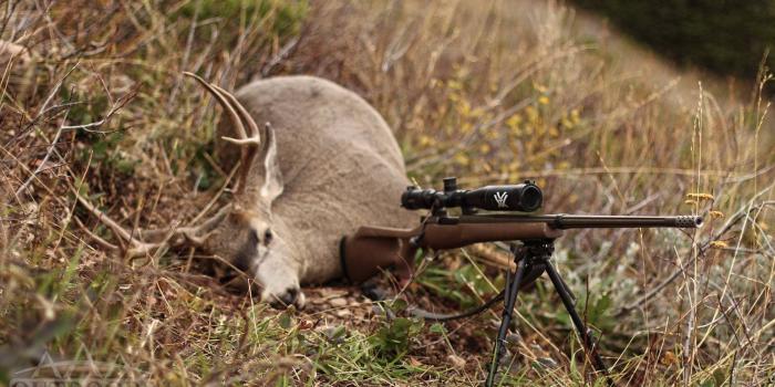 2000x1123 The Deer Harvest is Booming | SA MAG
