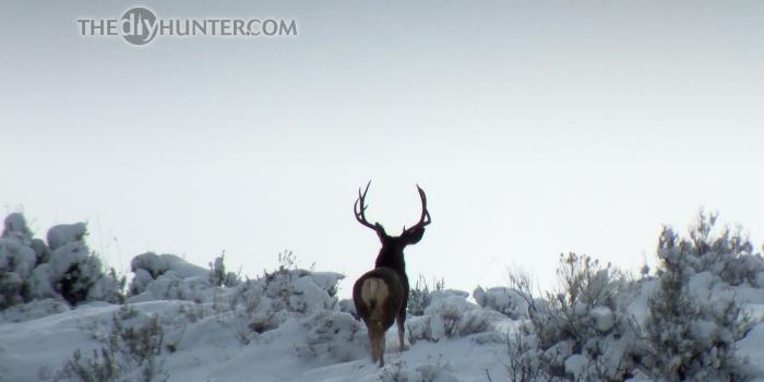 1920x1080 Hunting wallpaper Gallery