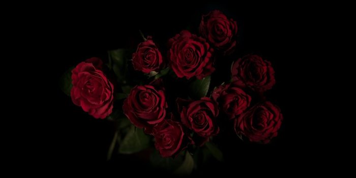 1366x768 Download wallpaper 1366x768 roses, bouquet, red, dark background