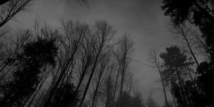 1024x768 Dark Nature Black Background Hd Wallpaper - Dark Tumblr Wallpaper