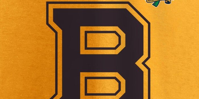 900x900 Men's Boston Bruins Fanatics Branded Gold 2019 Winter Classic
