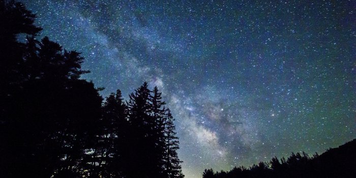 5184x3456 Silhouette of trees, Starry sky, Trees, Galaxy HD wallpaper