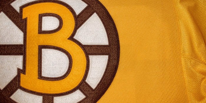 1920x1200 Boston Bruins Winter Classic Logo Wallpapers » WallDevil Best