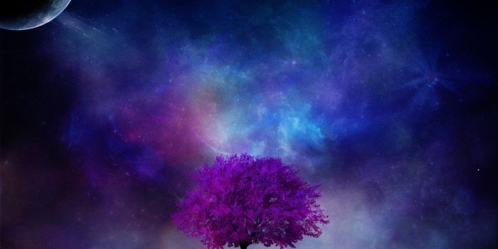 1920x1080 Download 1920x1080 Moon, Tree, Galaxy, Nebula, Stars, Night, Digital