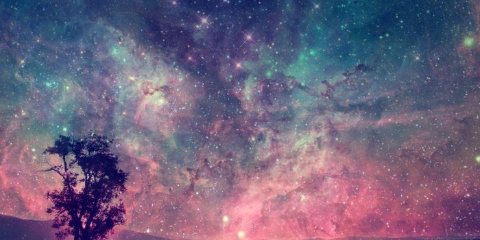 1440x1280 Galaxy Tree Wallpaper by LeMacSP - 29 - Free on ZEDGE™