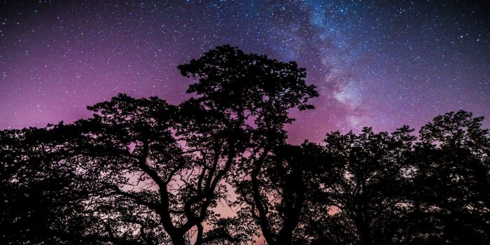1920x1080 2849222 1920x1080 stars trees galaxy wallpaper and background JPG