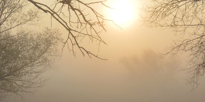 1440x2960 Samsung Galaxy S9 Backgrounds | HD Windows Wallpapers