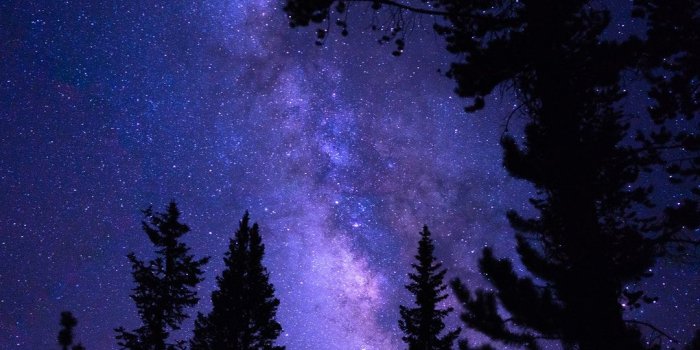 1080x1135 Sky, tree, long exposure and galaxy HD · 4K Wallpaper · Android