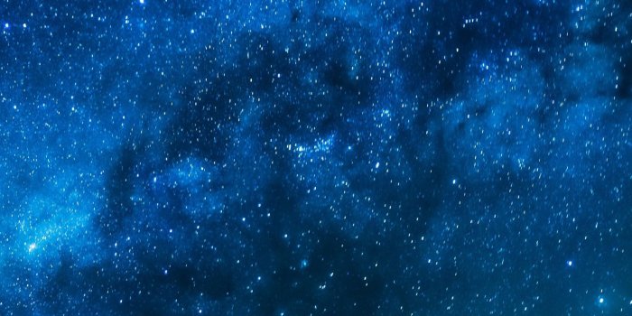 1440x2960 Universe, Space, Night, Sky, Tree Wallpaper for Samsung Galaxy S8/S8