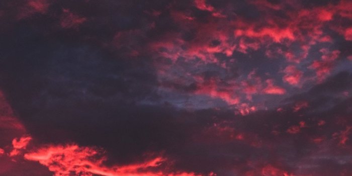 1440x2960 Download 1440x2960 wallpaper colorful, clouds, sunset, dark, tree