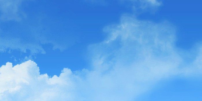 800x1280 green-field-alone-tree-blue-sky-beatiful-samsung-galaxy-note