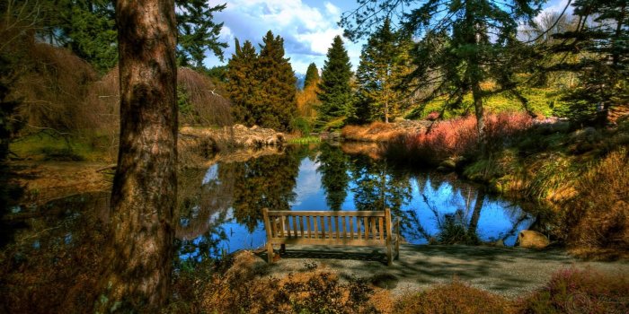 1920x1080 45+ Wilderness Scenery Pictures Wallpapers - Download at WallpaperBro