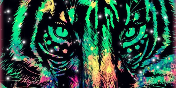 1080x1920 Tiger Galaxy Wallpaper #androidwallpaper #iphonewallpaper #wallpaper