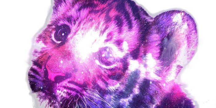 1024x1024 Hipster Tiger Galaxy Wallpapers - Top Free Hipster Tiger Galaxy