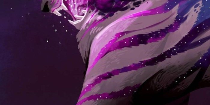 800x1280 800x1280 Tiger Art By Alex Braun Nexus 7,Samsung Galaxy Tab 10,Note