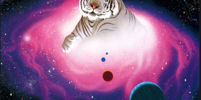 1202x955 Tiger galaxy | animals in galaxy in 2019 | Tiger wallpaper, Animal