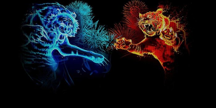 1488x838 Abstract Tiger Wallpapers - Top Free Abstract Tiger Backgrounds