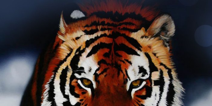 1440x2560 Tiger Wallpaper Galaxy Note 7 | blackberry themes