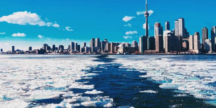 1024x1280 Winter In Toronto Wallpaper by danbortnick - eb - Free on ZEDGE™