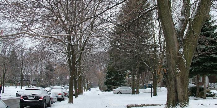 1280x960 Toronto Winter Neighborhood - Scenic Snow