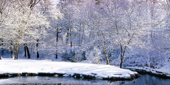 1024x768 Nature: Canada Ontario Toronto Winterscene, picture nr. 8712