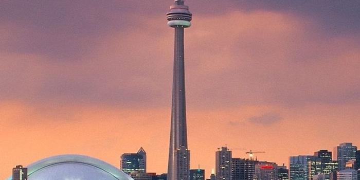 1080x1920 Toronto 6 Wallpapers - Top Free Toronto 6 Backgrounds - WallpaperAccess
