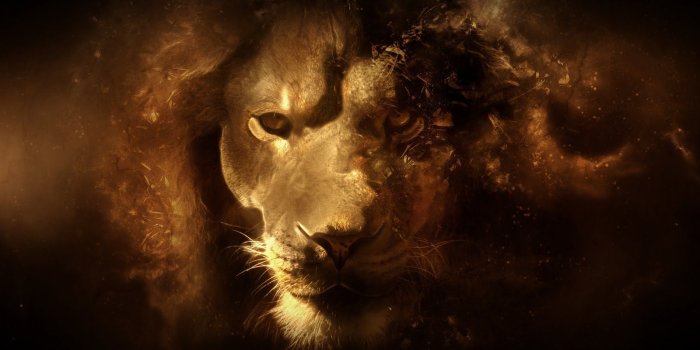 1600x900 Epic Desktop Wallpapers and Backgrounds | Abstract Lion HD